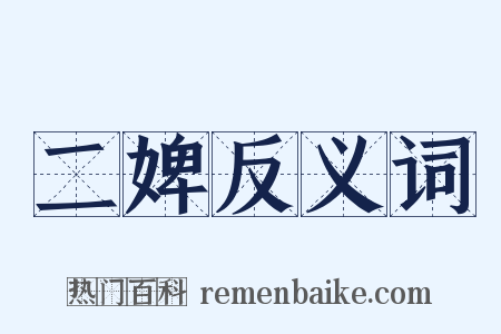 二婢反义词是什么意思的图片